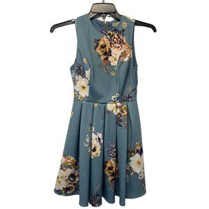 Altar'd State Dress Blue Flowers Fitted Top Pleated Skirt Women's Small 4-6